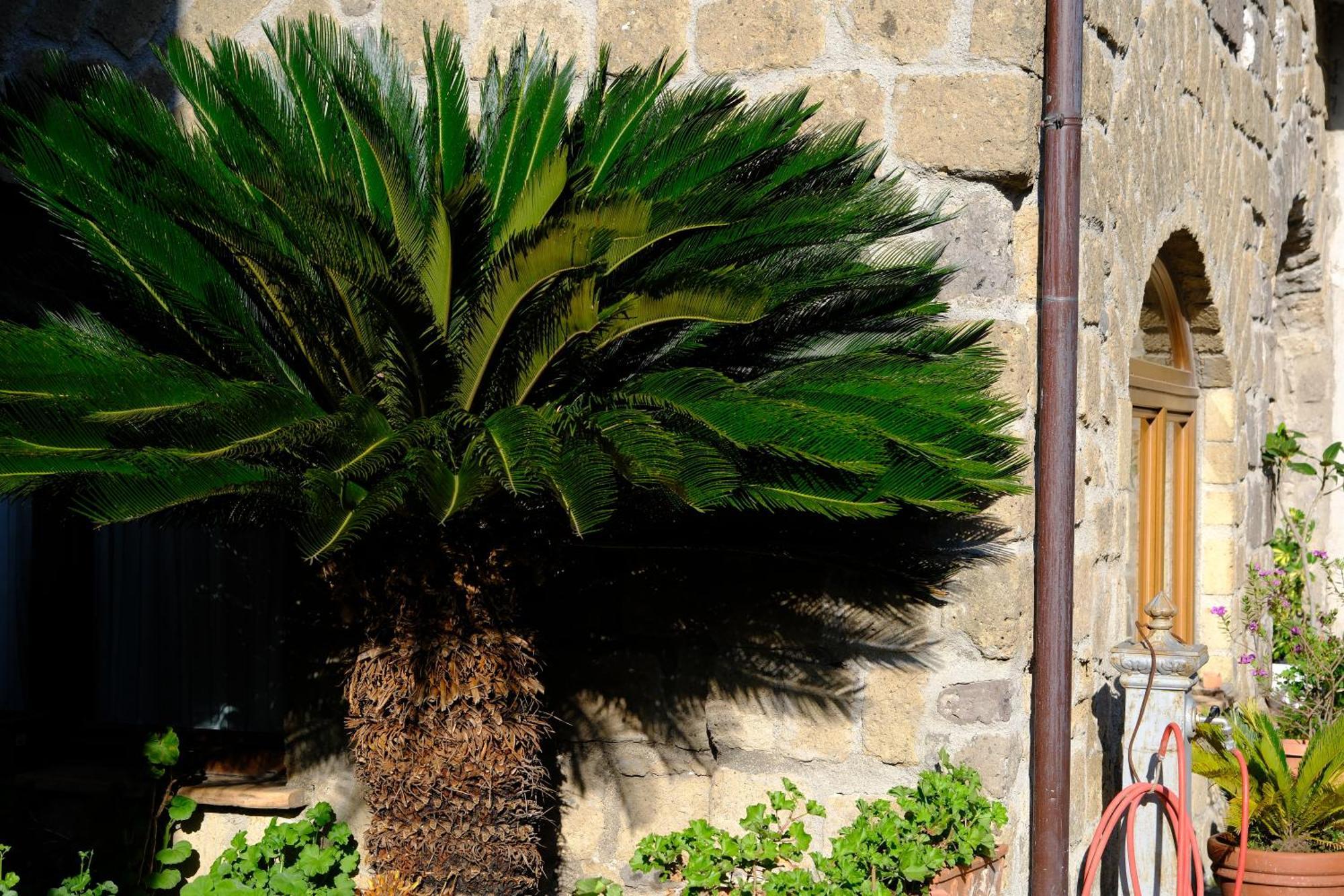 Conte Spencer Bed & Breakfast Caserta Vecchia Bagian luar foto