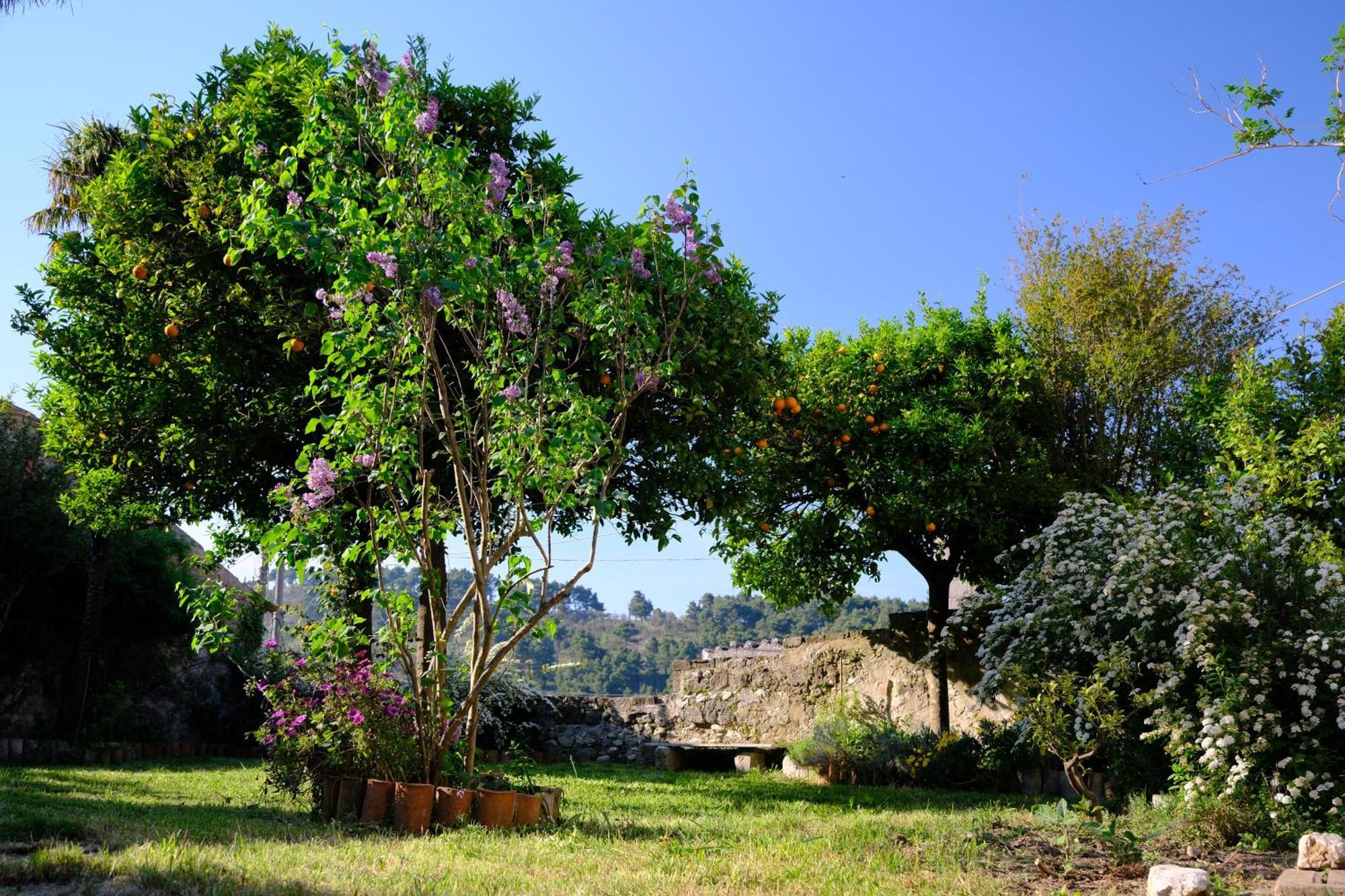 Conte Spencer Bed & Breakfast Caserta Vecchia Bagian luar foto
