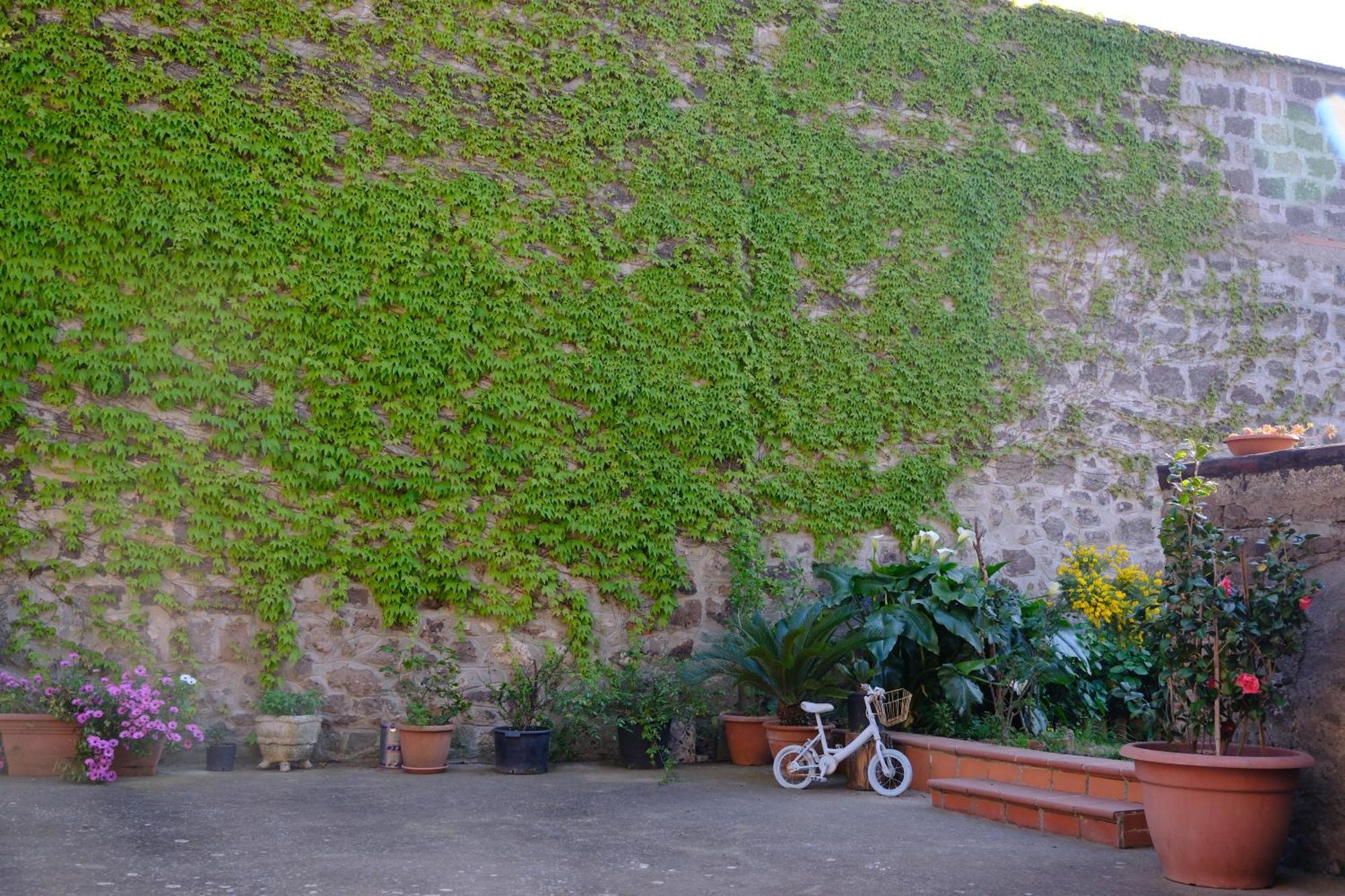 Conte Spencer Bed & Breakfast Caserta Vecchia Bagian luar foto